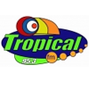 Логотип станции Tropical FM - 95,3 FM (Мойта)