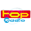 Логотип станции Top Radio - 91,9 FM (Рига)
