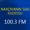 Логотип станции Naxcivanin Sesi Radio - 100,3 FM (Нахчиван)
