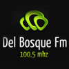Логотип станции Del Bosque FM - 100.5 FM (Буэнос-Айрес)